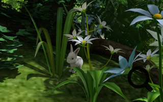 Funny Bunny
